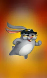 Rabbit Road
