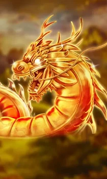 Angry Dragons