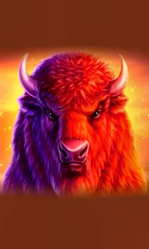 Buffalo 50